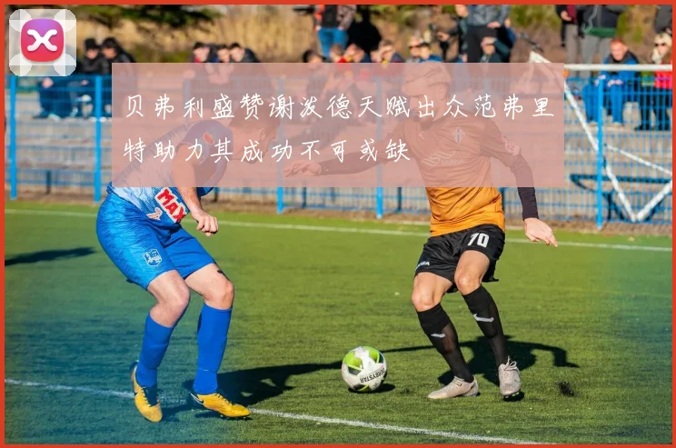 贝弗利盛赞谢泼德天赋出众范弗里特助力其成功不可或缺