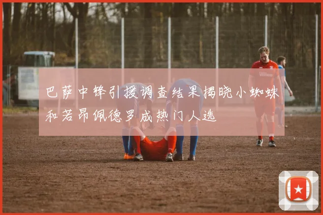 巴萨中锋引援调查结果揭晓小蜘蛛和若昂佩德罗成热门人选